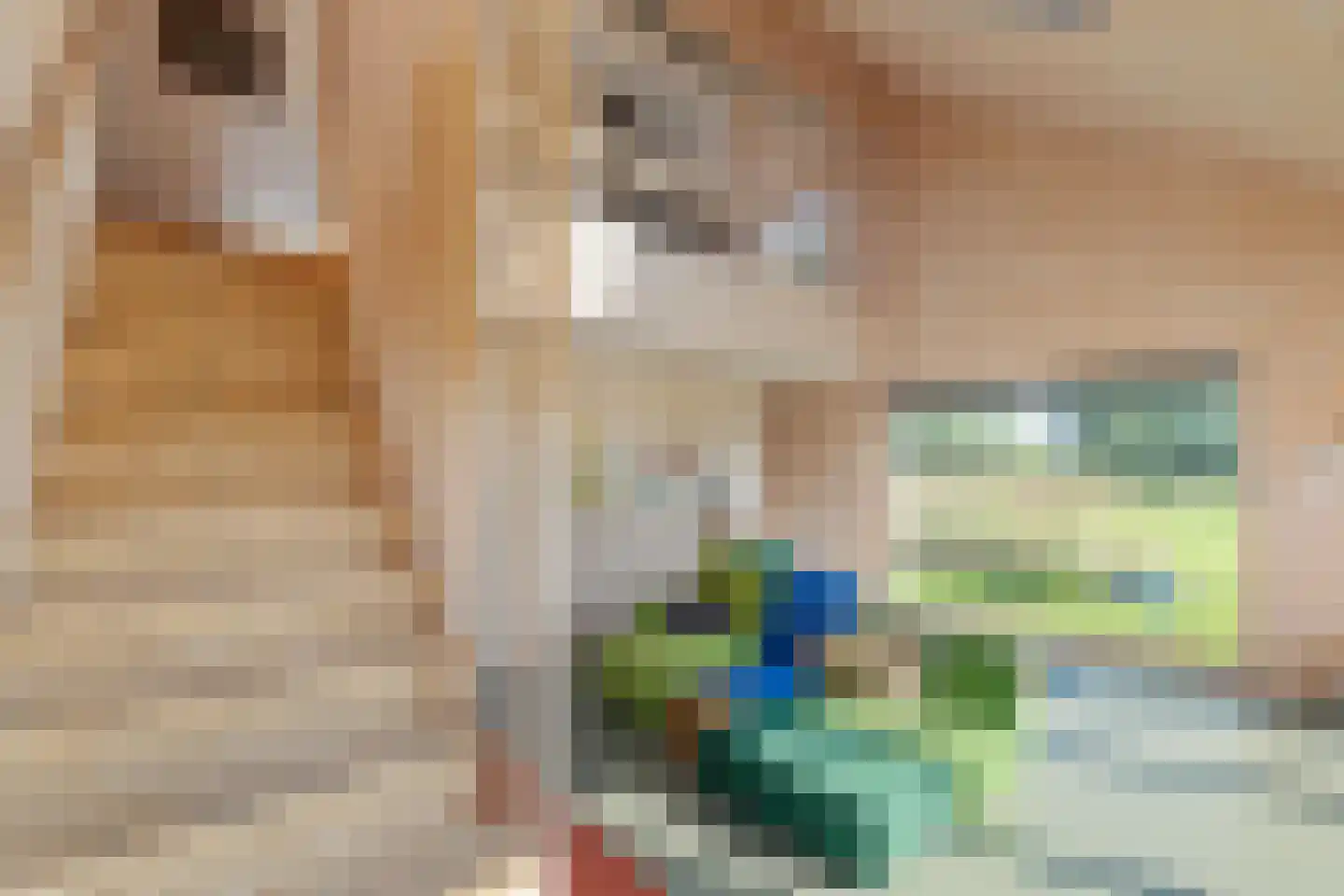 Raamsweg 14 Mariënheem thumbnail 18