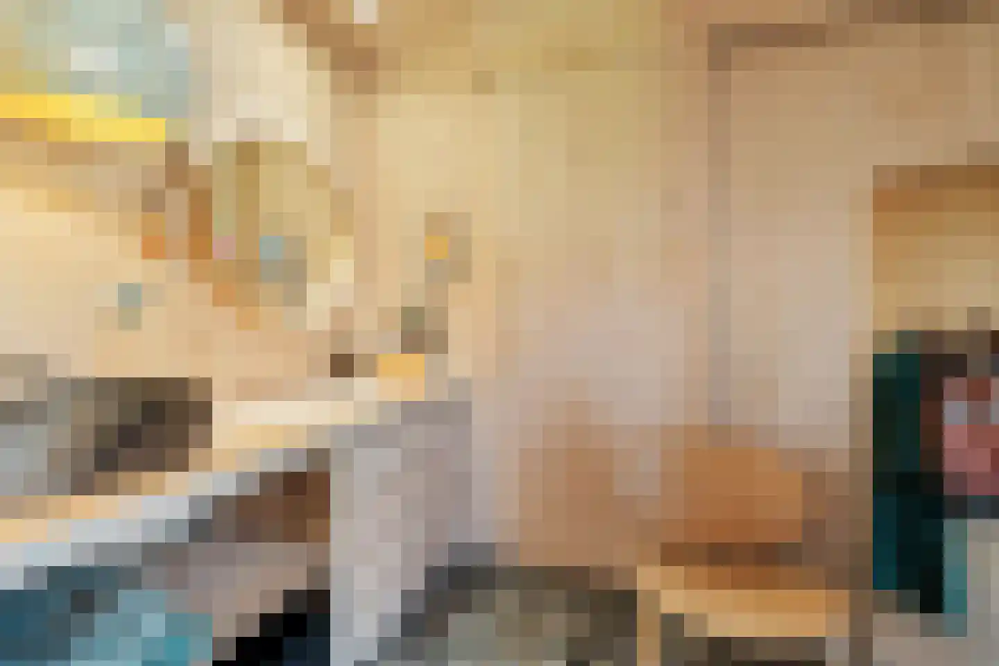 Raamsweg 14 Mariënheem thumbnail 30