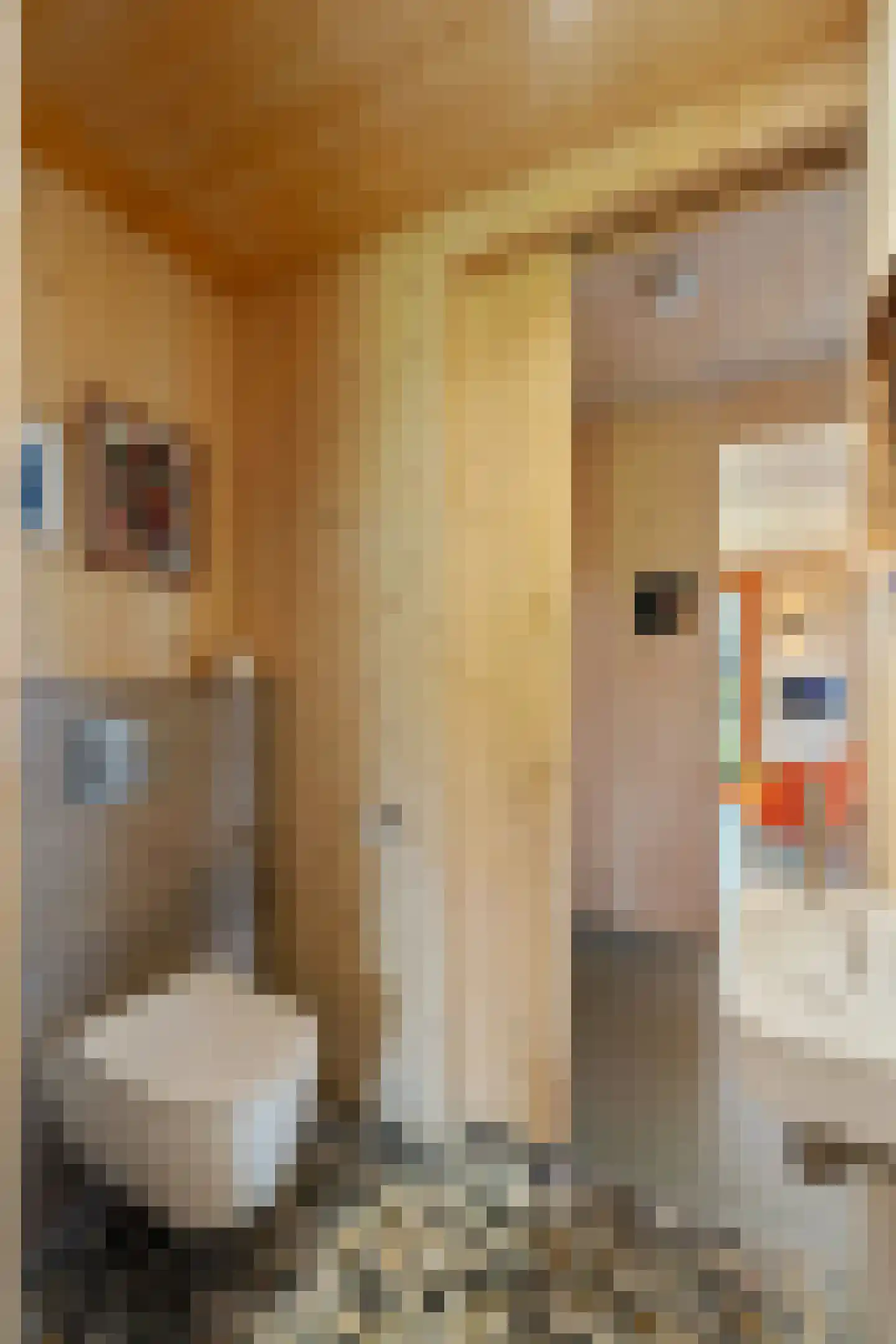 Raamsweg 14 Mariënheem thumbnail 31