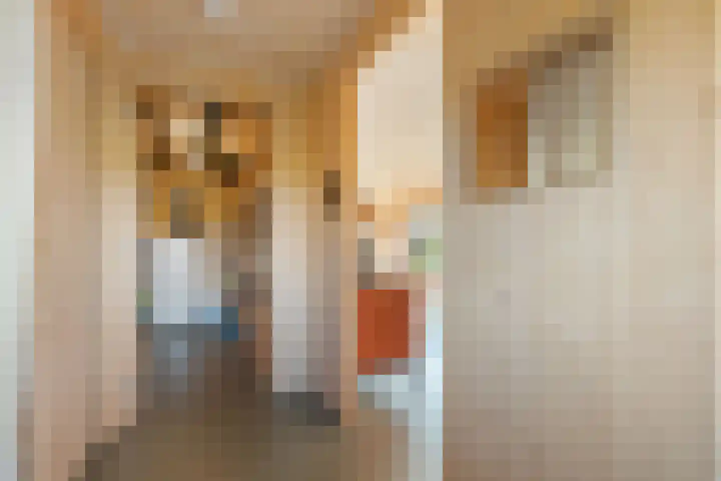 Raamsweg 14 Mariënheem thumbnail 32