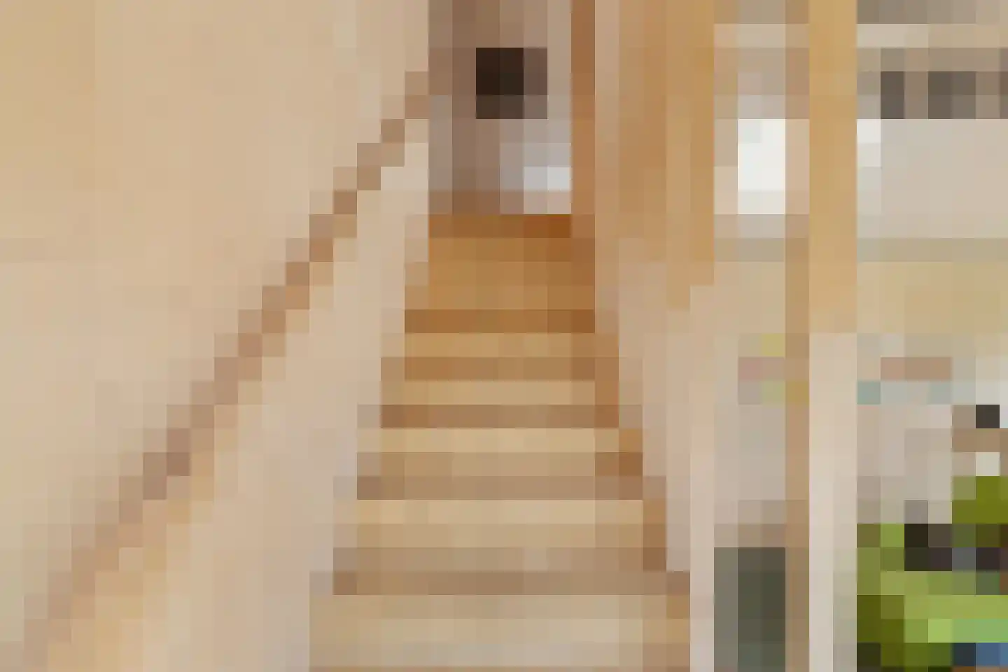 Raamsweg 14 Mariënheem thumbnail 33