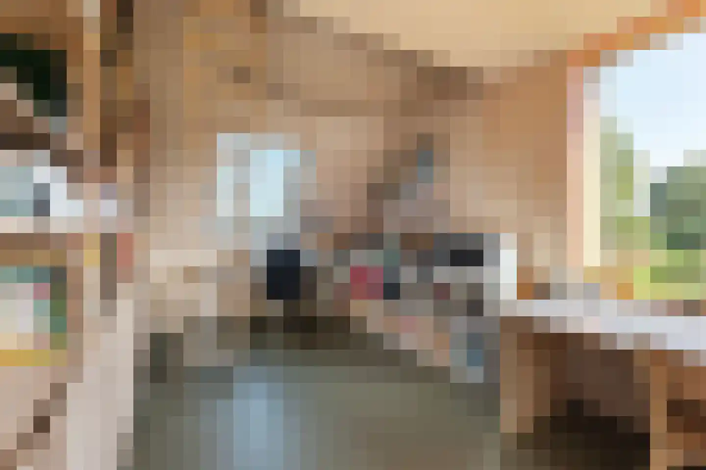 Raamsweg 14 Mariënheem thumbnail 34