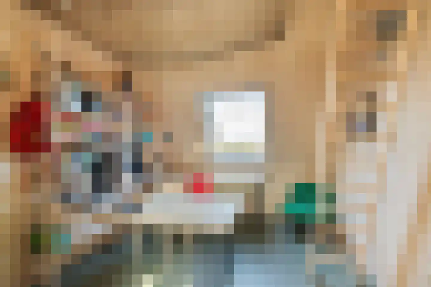 Raamsweg 14 Mariënheem thumbnail 38