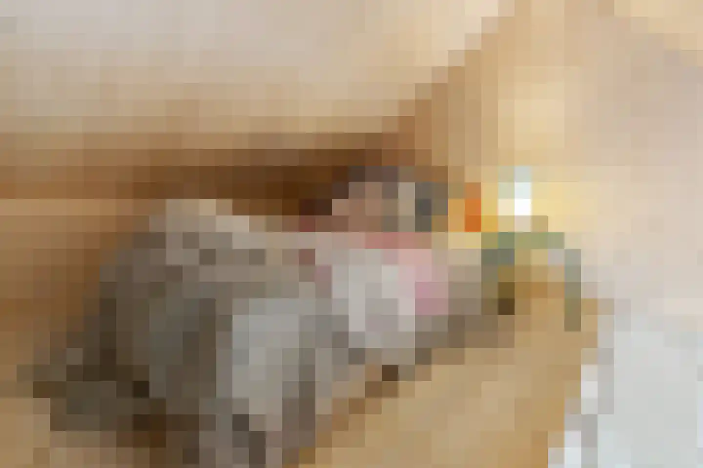 Raamsweg 14 Mariënheem thumbnail 41