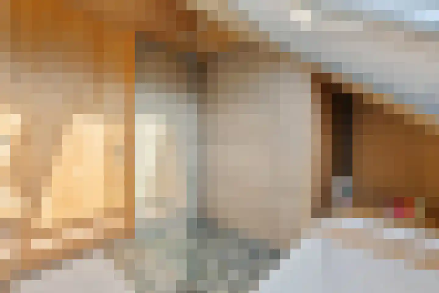 Raamsweg 14 Mariënheem thumbnail 45
