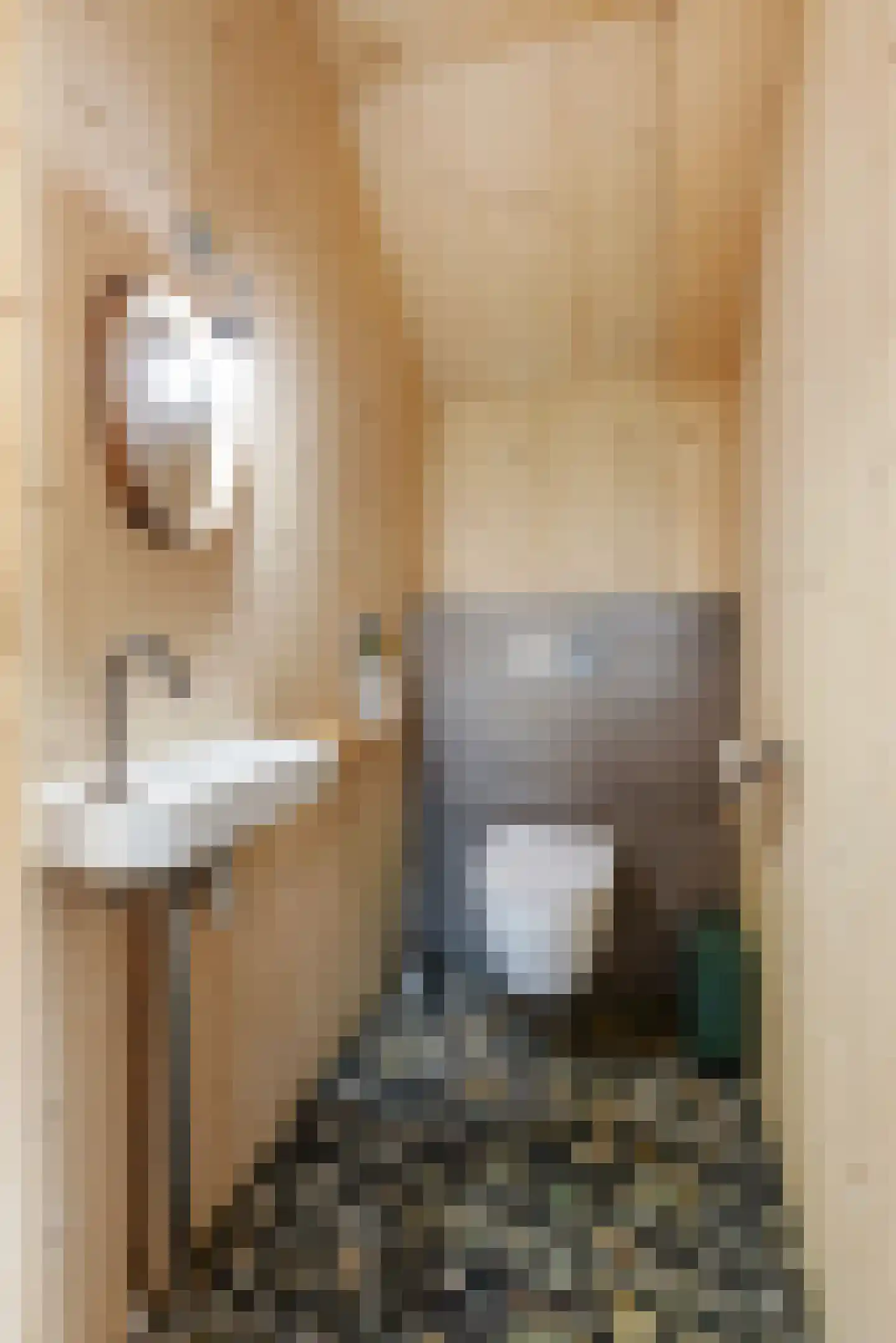 Raamsweg 14 Mariënheem thumbnail 46