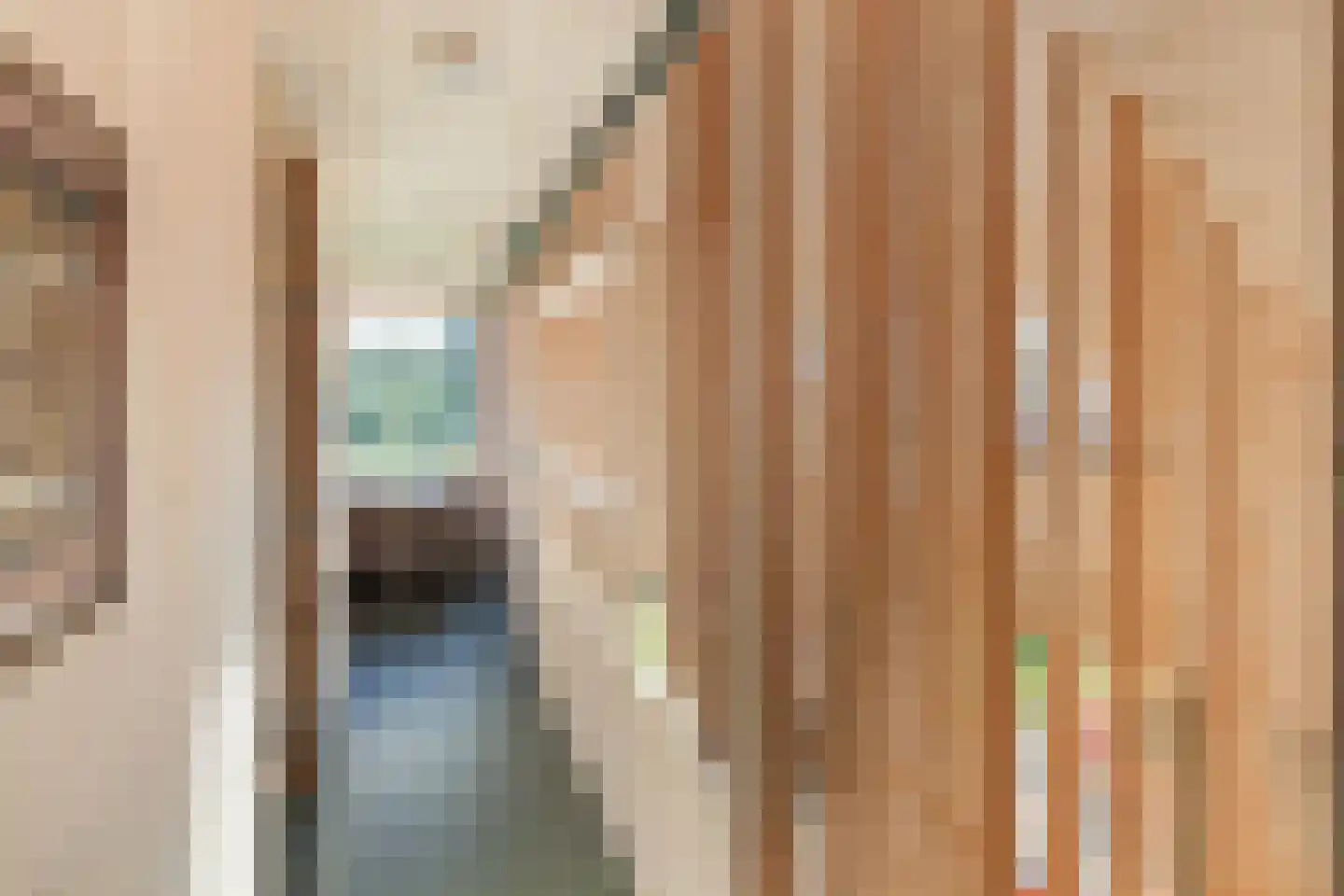 Raamsweg 14 Mariënheem thumbnail 47