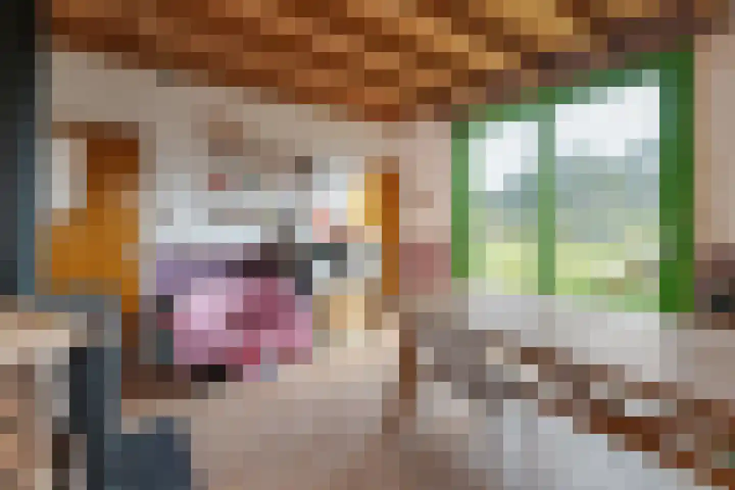 Raamsweg 14 Mariënheem thumbnail 59