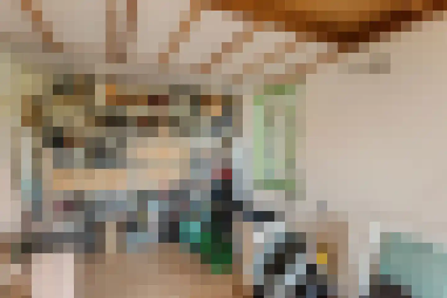 Raamsweg 14 Mariënheem thumbnail 62