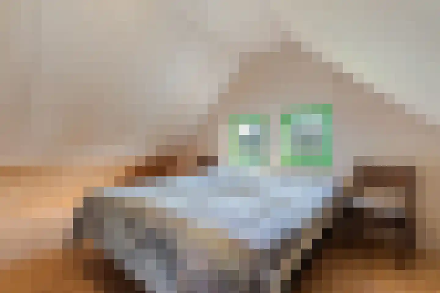 Raamsweg 14 Mariënheem thumbnail 63