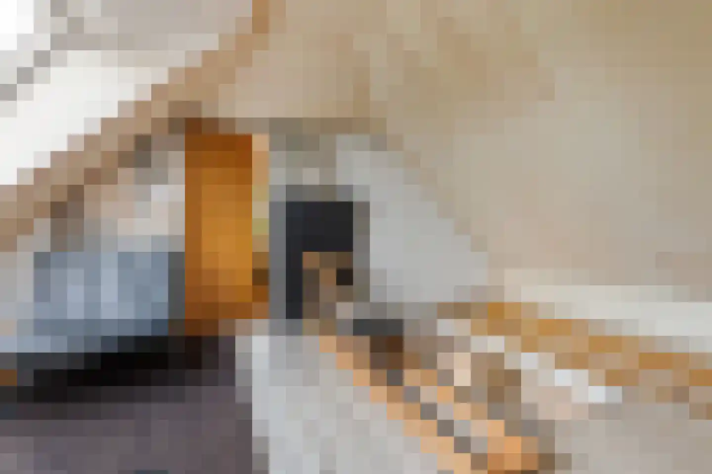 Raamsweg 14 Mariënheem thumbnail 64