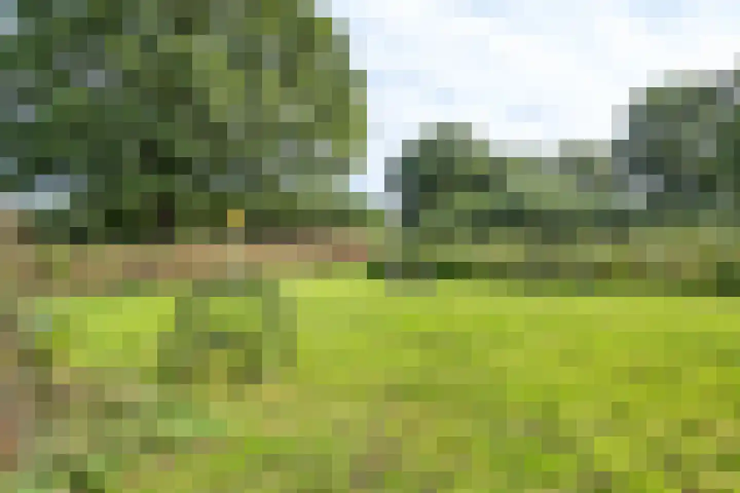 Raamsweg 14 Mariënheem thumbnail 66