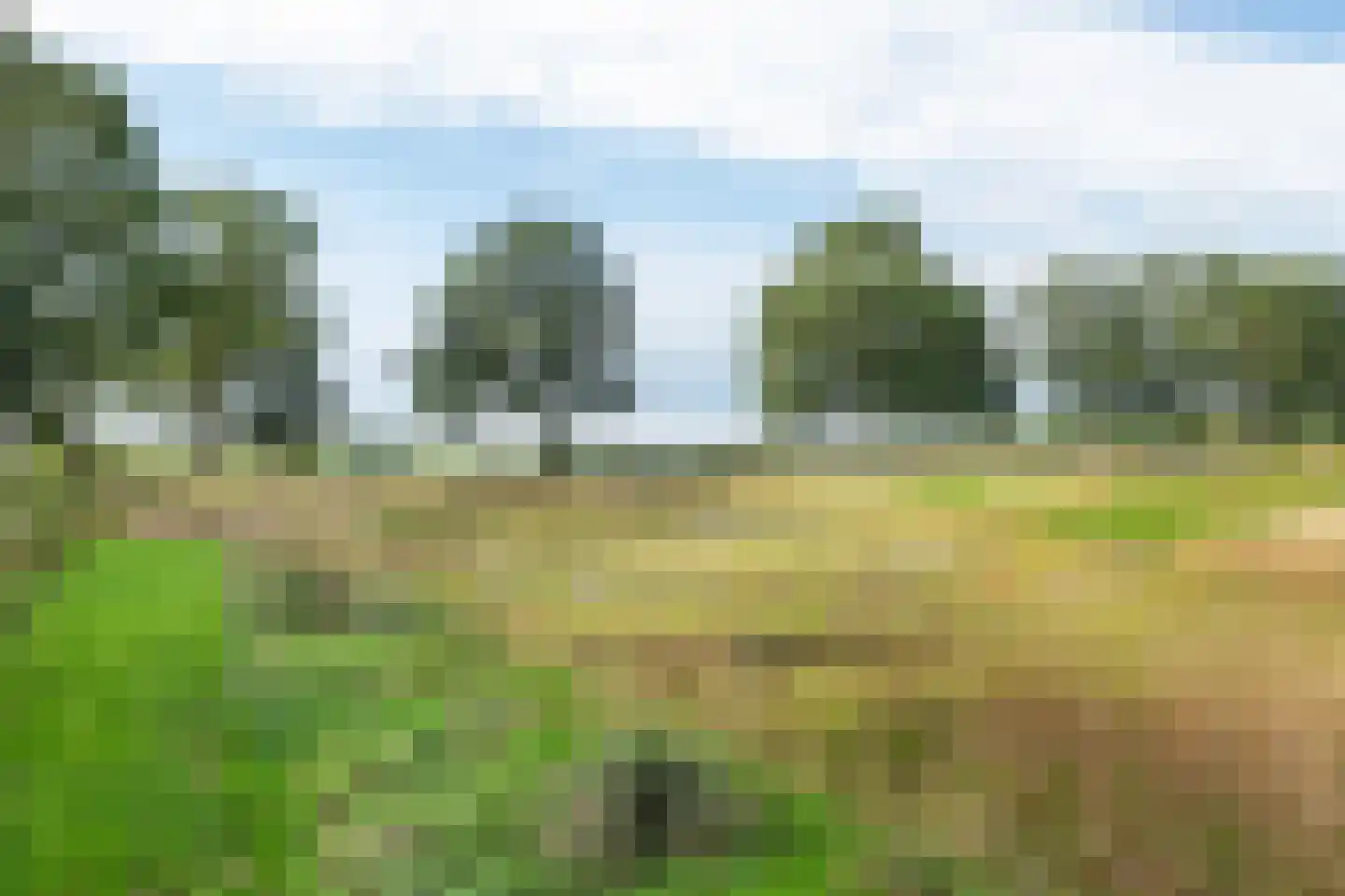 Raamsweg 14 Mariënheem thumbnail 68