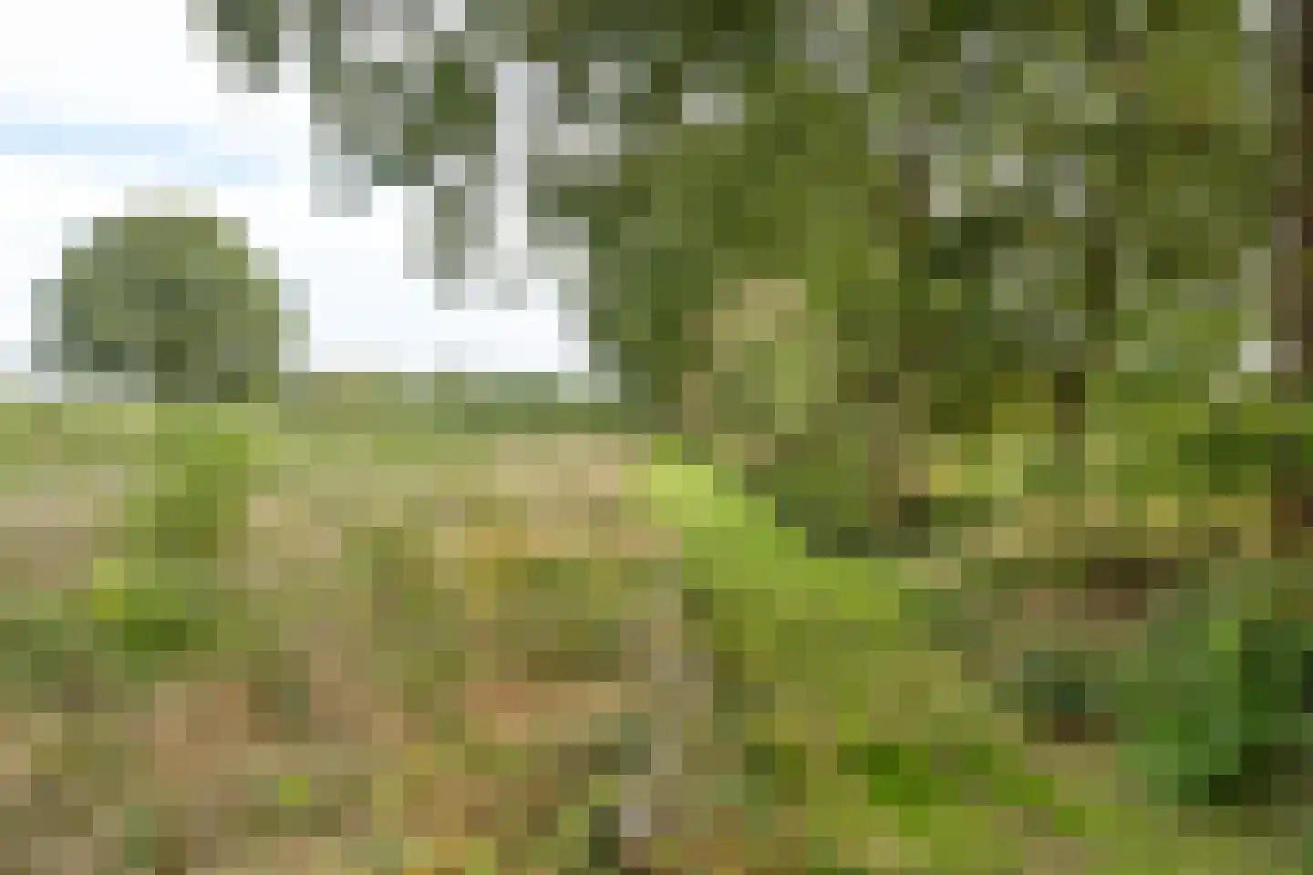 Raamsweg 14 Mariënheem thumbnail 70