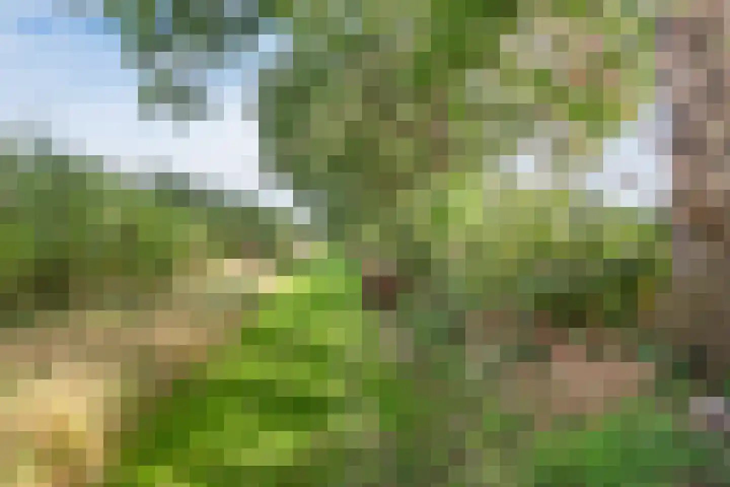 Raamsweg 14 Mariënheem thumbnail 71