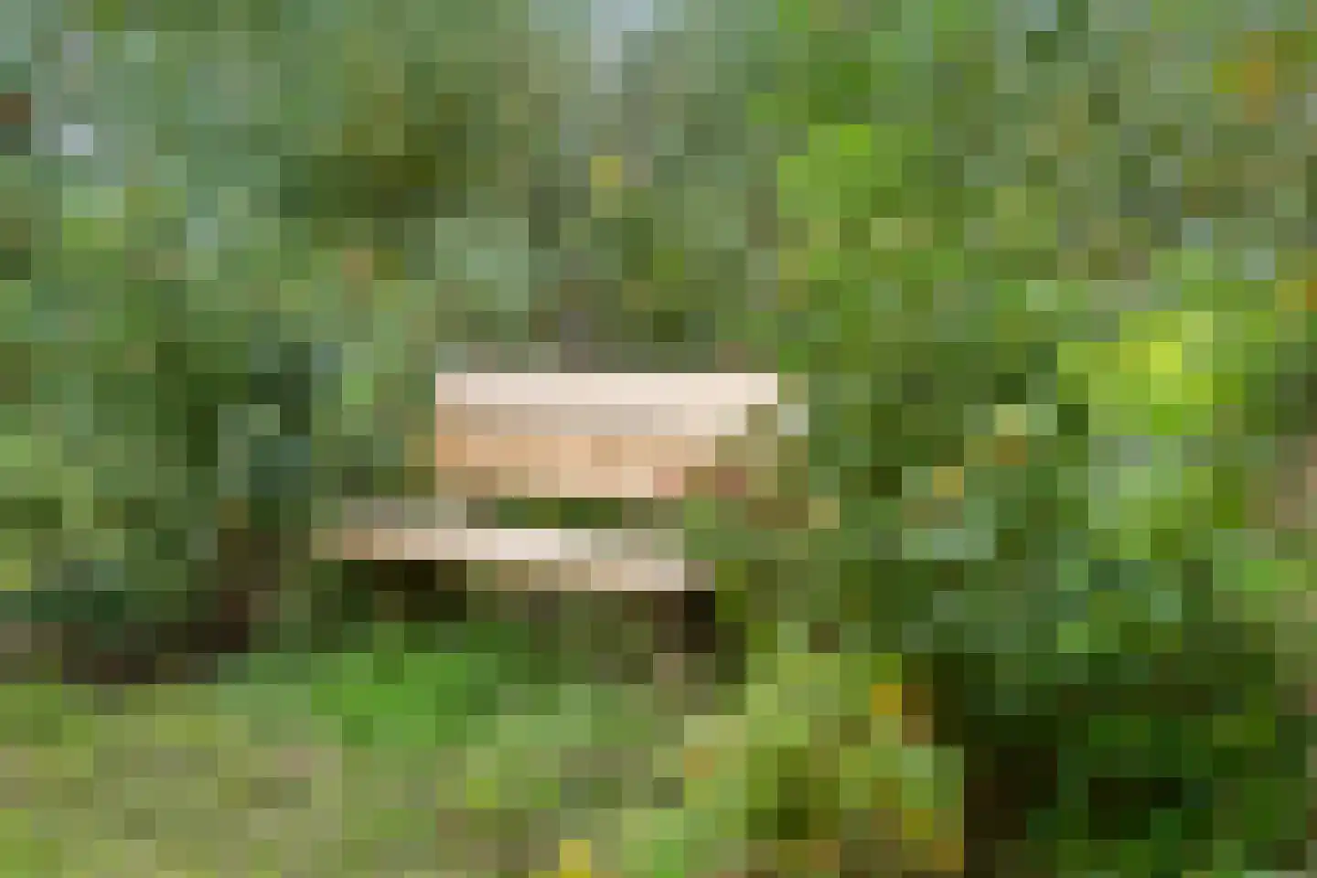 Raamsweg 14 Mariënheem thumbnail 72