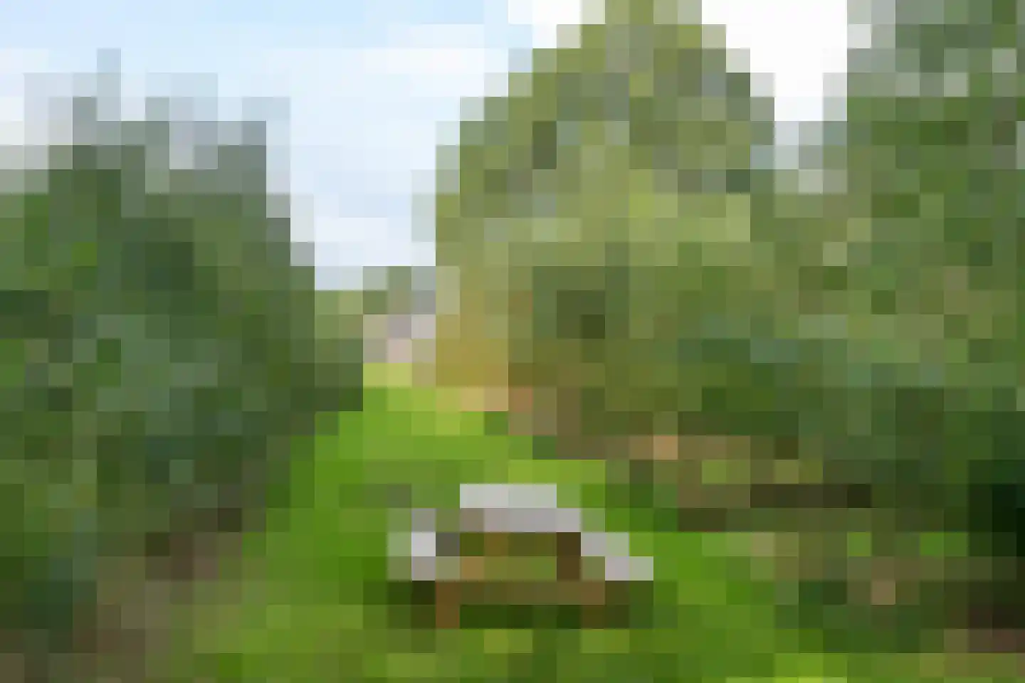 Raamsweg 14 Mariënheem thumbnail 73