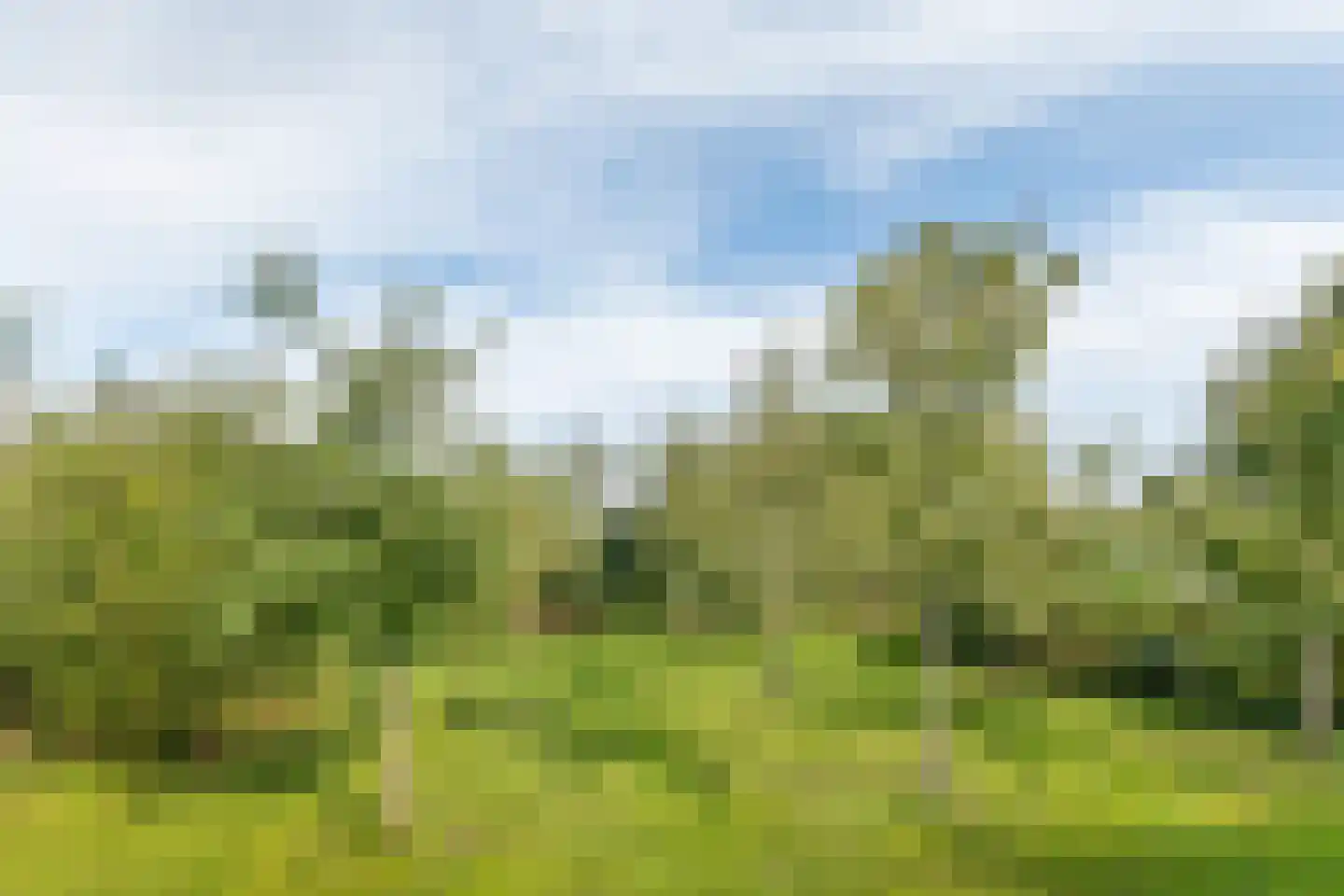 Raamsweg 14 Mariënheem thumbnail 74