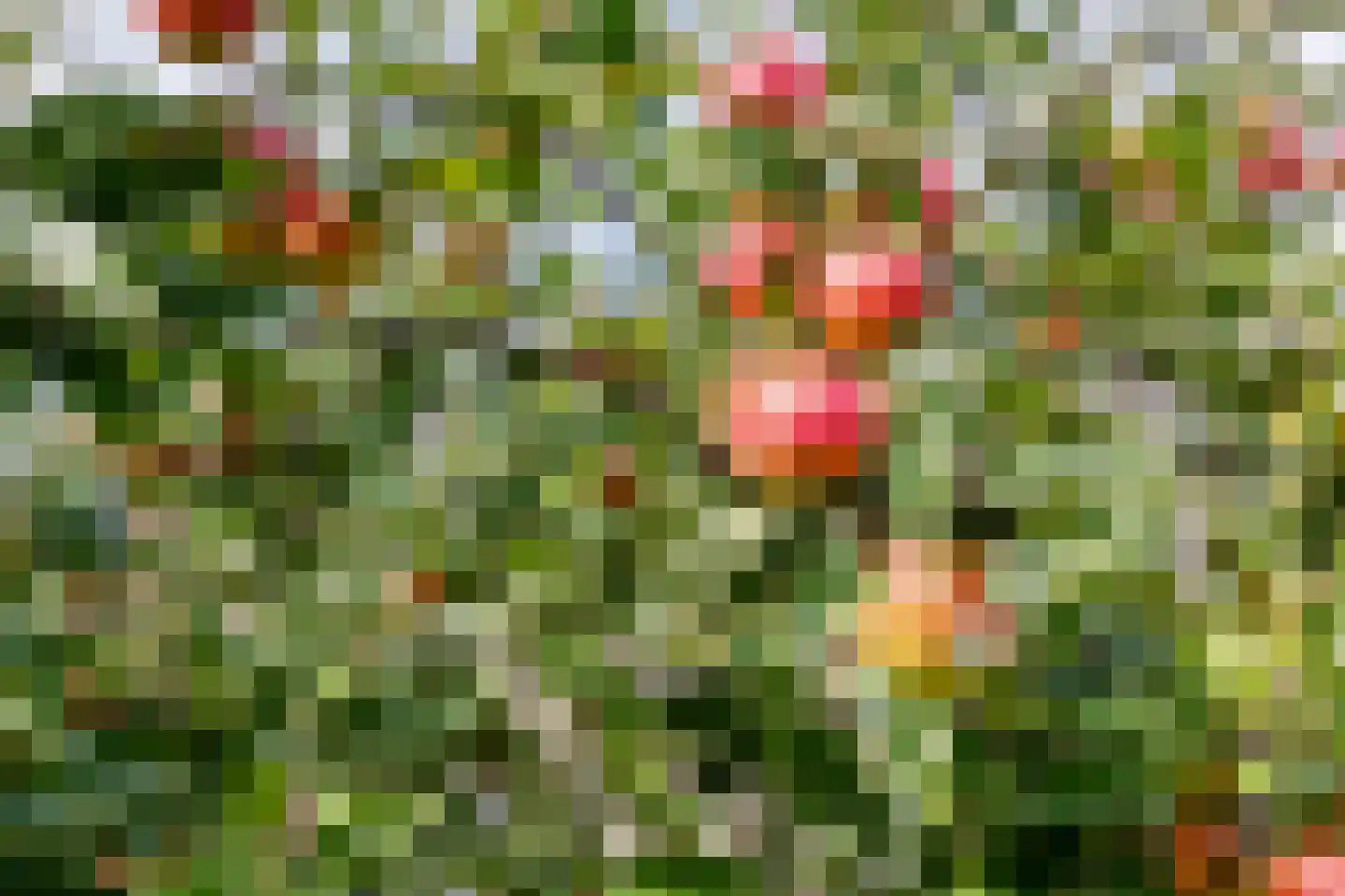 Raamsweg 14 Mariënheem thumbnail 75