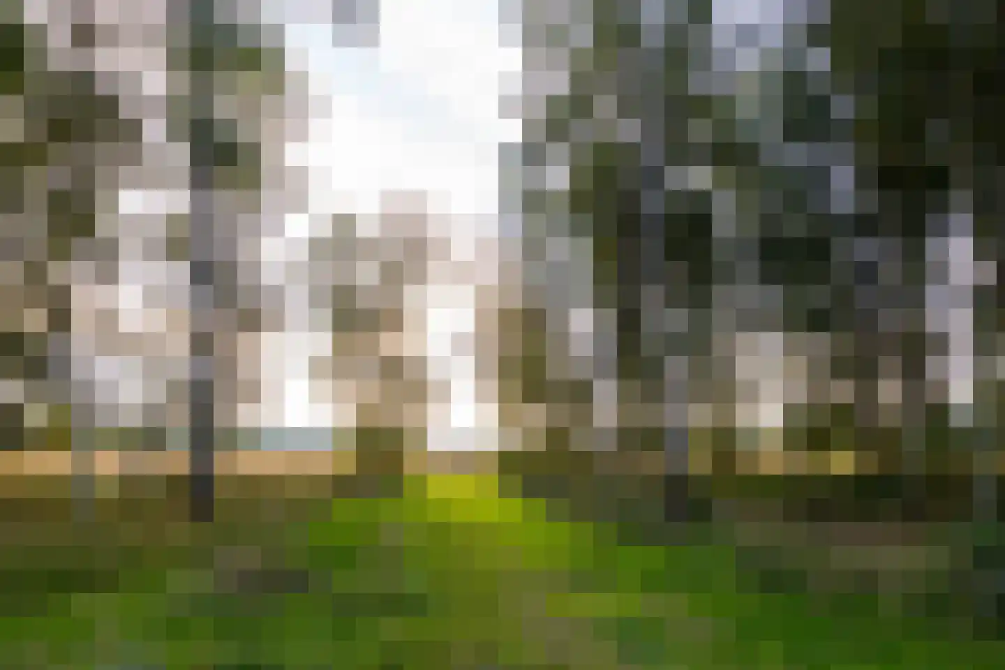 Raamsweg 14 Mariënheem thumbnail 80