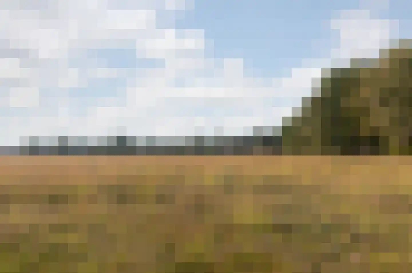 Raamsweg 14 Mariënheem thumbnail 82