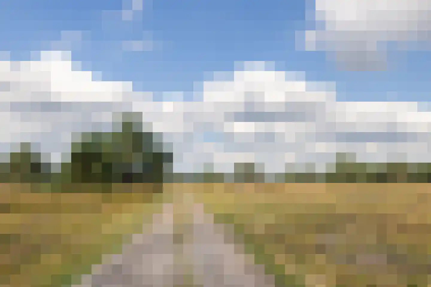 Raamsweg 14 Mariënheem thumbnail 86
