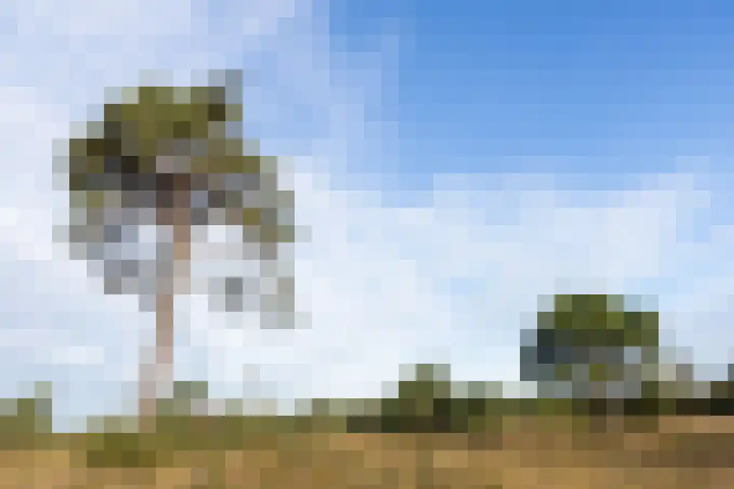 Raamsweg 14 Mariënheem thumbnail 87