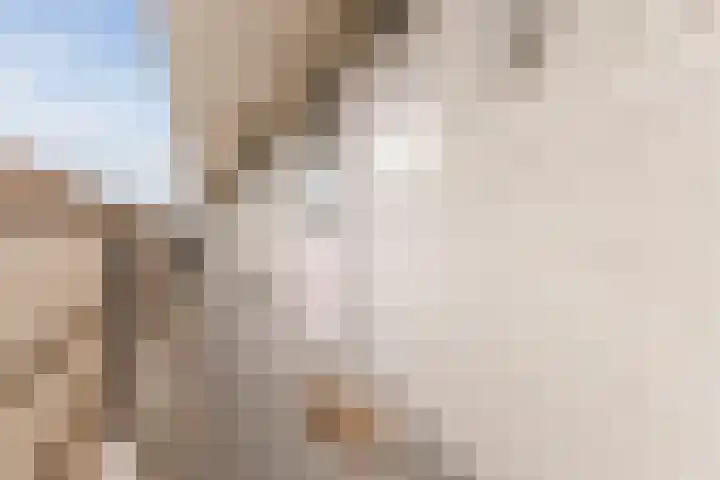 Raamveld 117 Geldrop thumbnail 12