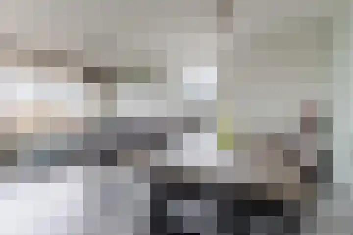 Raamveld 117 Geldrop thumbnail 15
