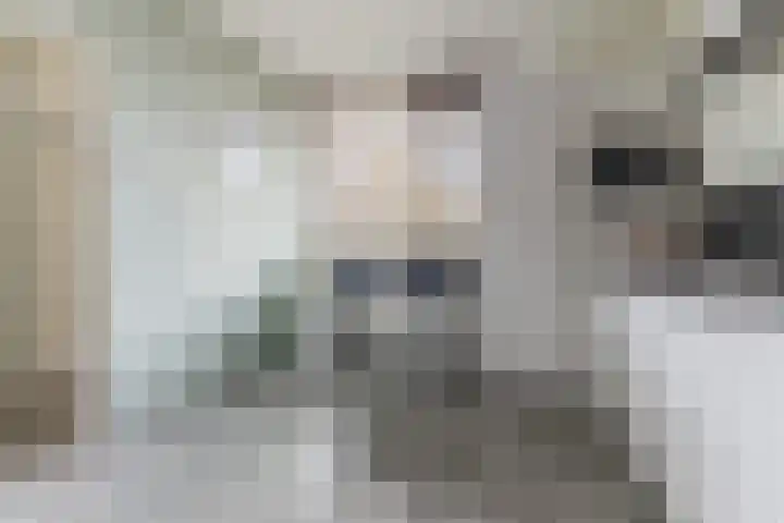 Raamveld 117 Geldrop thumbnail 16