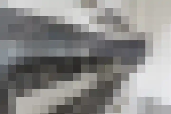 Raamveld 117 Geldrop thumbnail 17