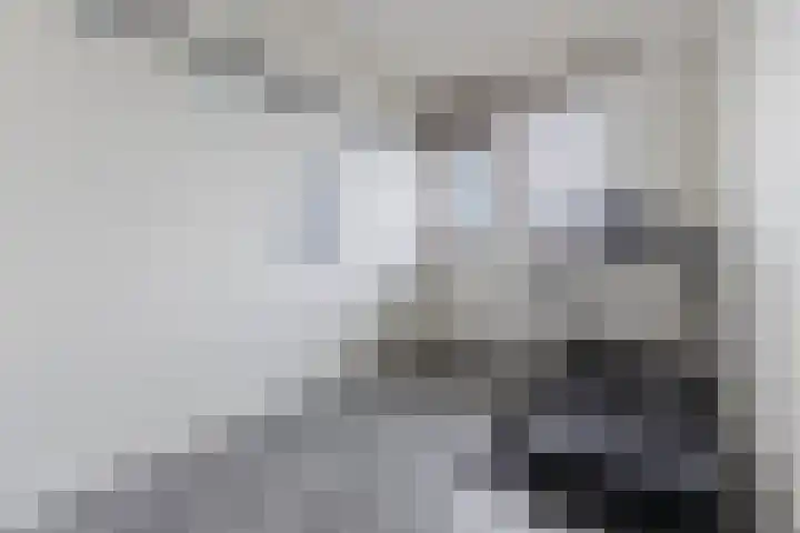 Raamveld 117 Geldrop thumbnail 26