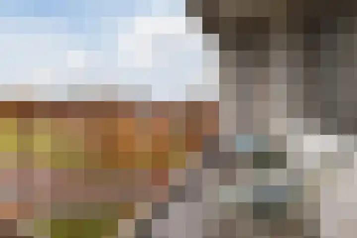 Raamveld 117 Geldrop thumbnail 32