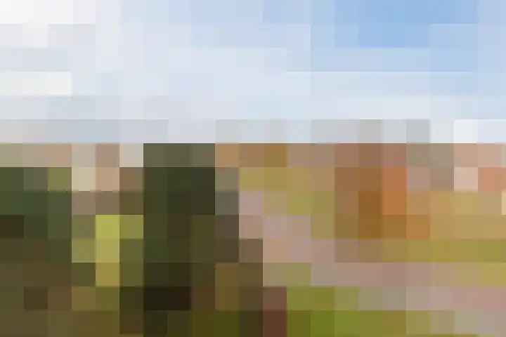 Raamveld 117 Geldrop thumbnail 33
