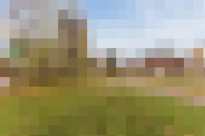 Raamveld 117 Geldrop thumbnail 36