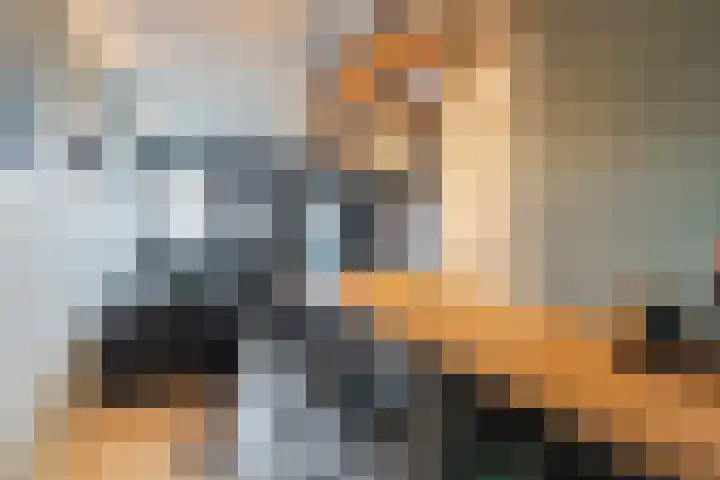Raamveld 145 Geldrop thumbnail 10