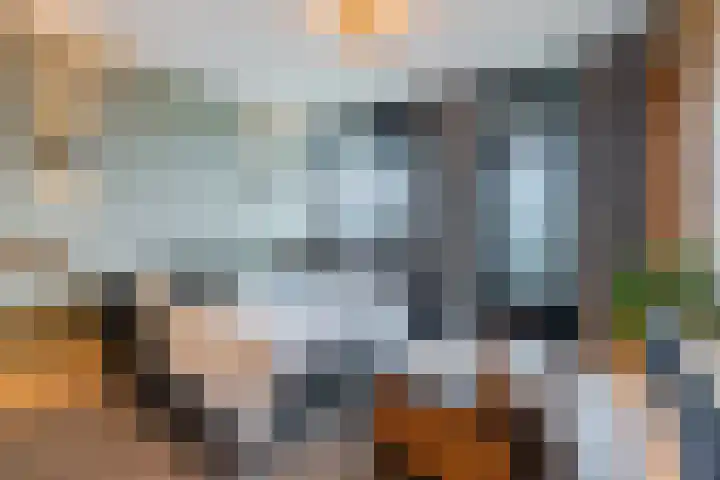 Raamveld 145 Geldrop thumbnail 18
