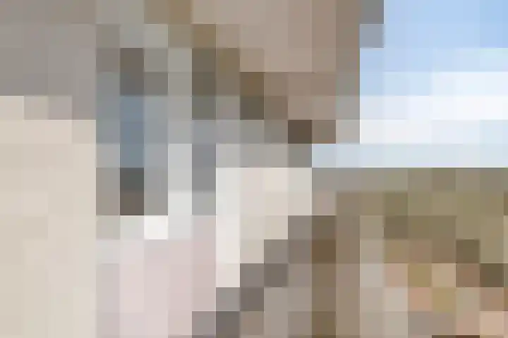 Raamveld 167 Geldrop thumbnail 14