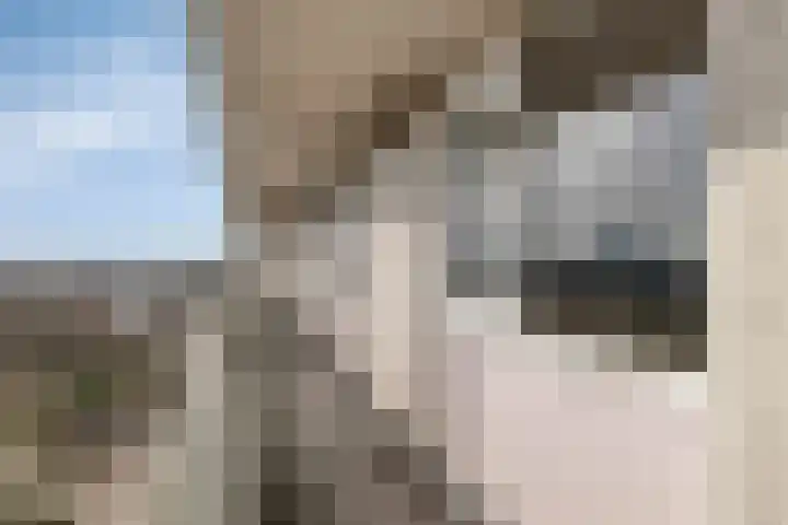 Raamveld 167 Geldrop thumbnail 15