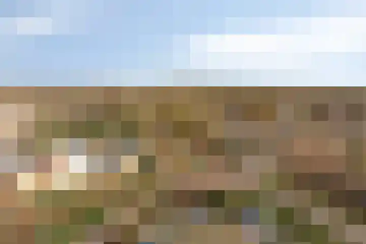 Raamveld 167 Geldrop thumbnail 16