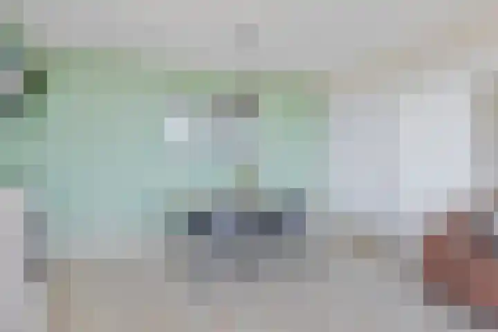 Raamveld 167 Geldrop thumbnail 27