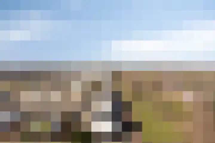 Raamveld 167 Geldrop thumbnail 31