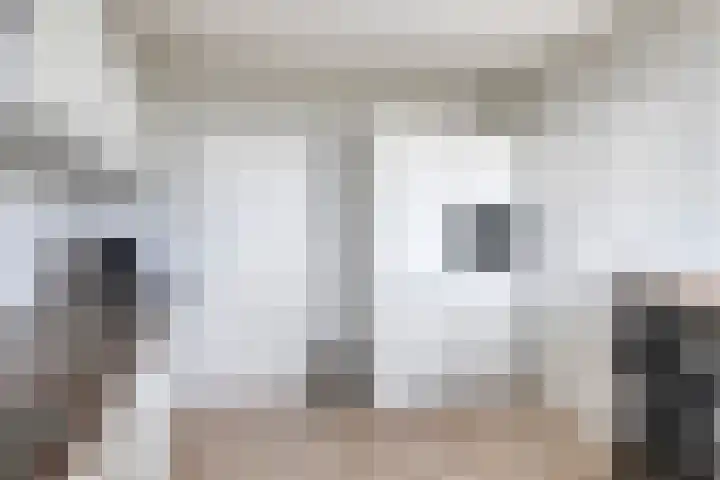Raamveld 167 Geldrop thumbnail 35