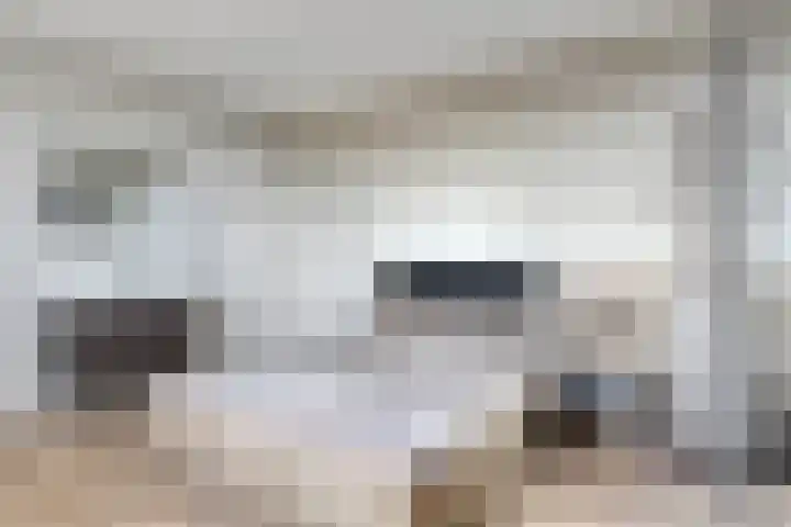 Raamveld 167 Geldrop thumbnail 38