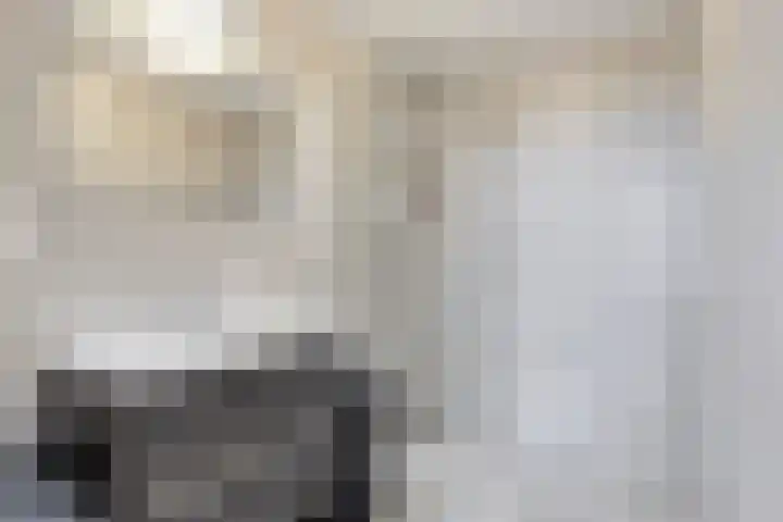 Raamveld 167 Geldrop thumbnail 39