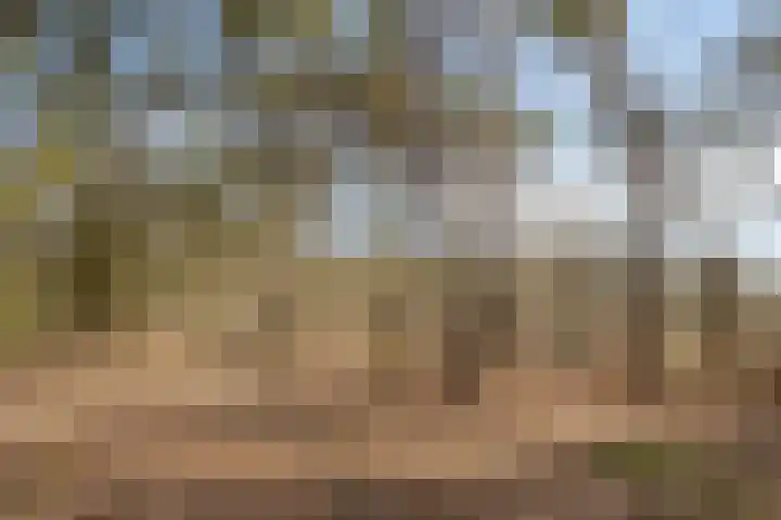 Raamveld 167 Geldrop thumbnail 46