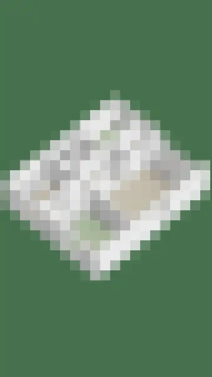 Raamveld 167 Geldrop thumbnail 50