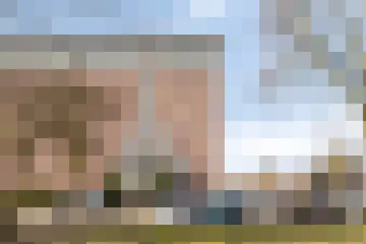 Raamveld 167 Geldrop thumbnail 7