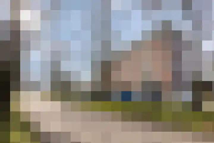 Raamveld 167 Geldrop thumbnail 8