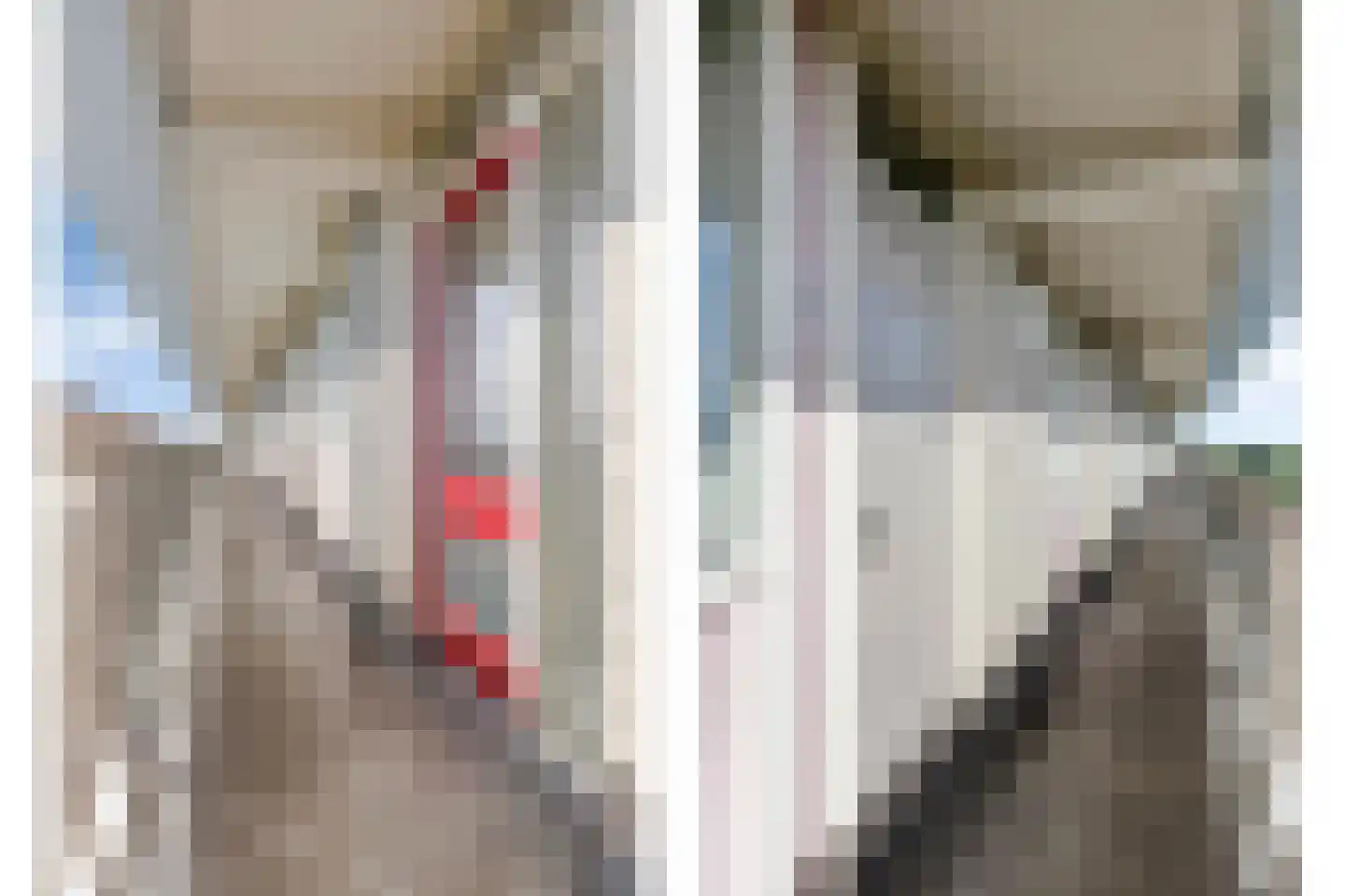 Raamveld 171 Geldrop thumbnail 17
